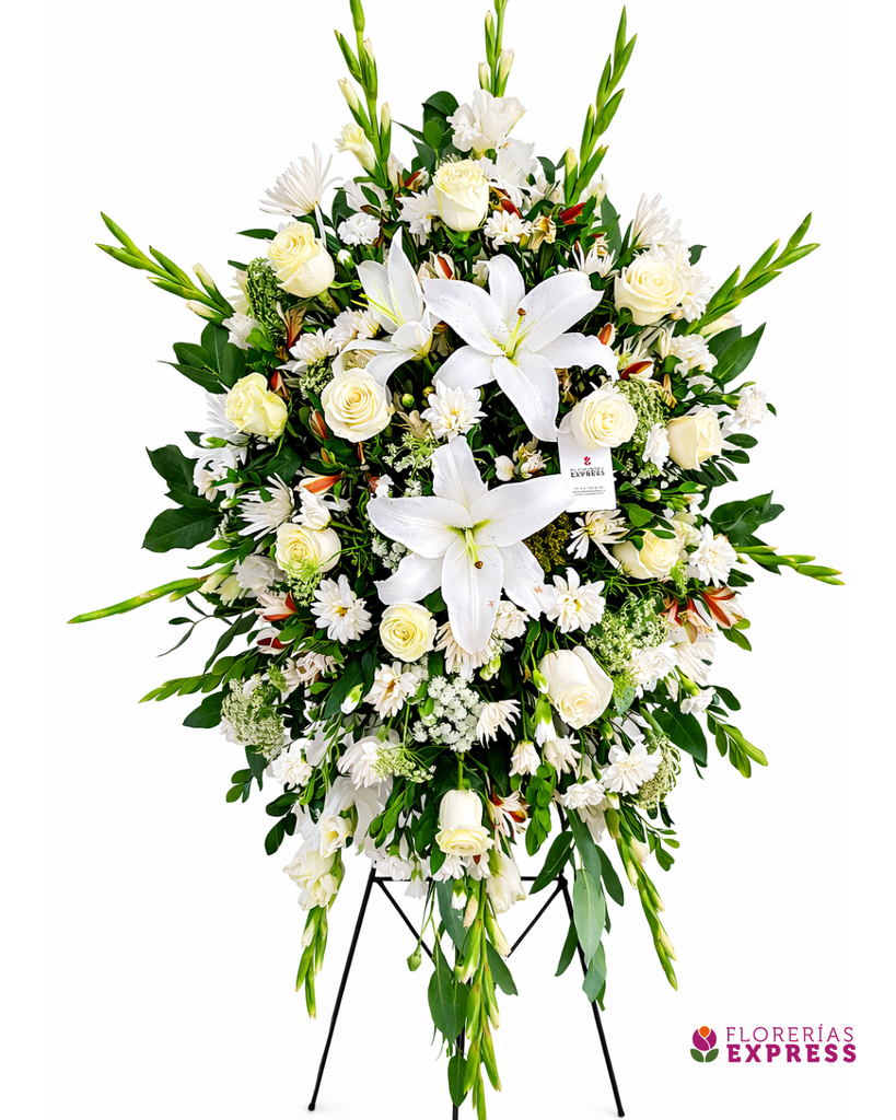 Lágrima parante 1 - Alt. 1.40 mt.