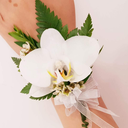 H - Corsage para mano de Orquídea Blanca