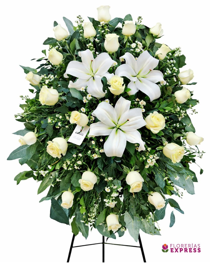 Lágrima parante 5. Alt. 1.40 mt