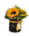 A3 - Box de Girasoles