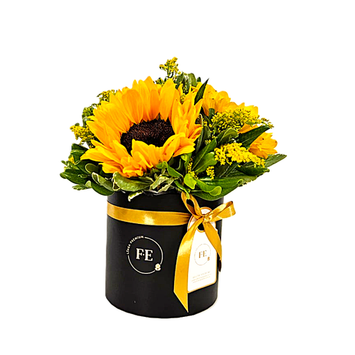 Box de Girasoles