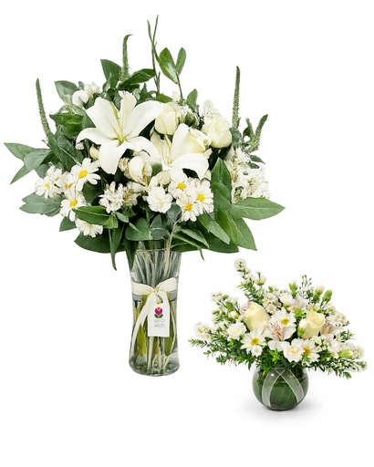Combo Blanca