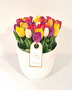 Bowl 30 tulipanes