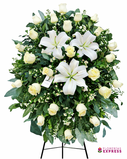 Lágrima parante 5. Alt. 1.40 mt