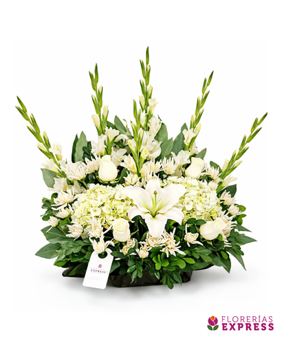 Rita - Alt 50 x 45 cm ancho