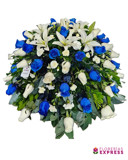 Manto Grande 4 - 360°