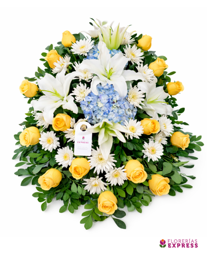 Lágrima o Manto mediano 1 - 1 cara