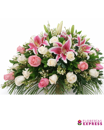 Manto mediano 2 - 360°