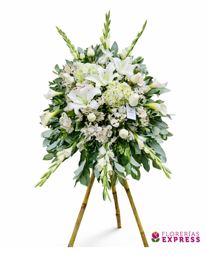 Lágrima con parante de caña - Alt 1.20 mt.