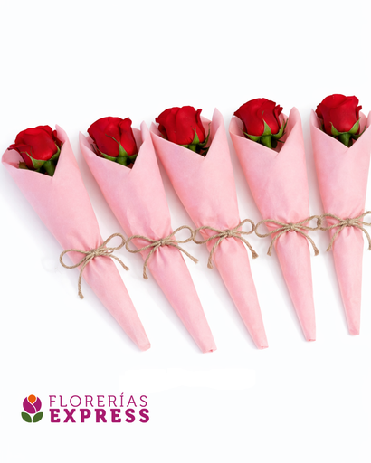 Pack de 5 rosas rojas