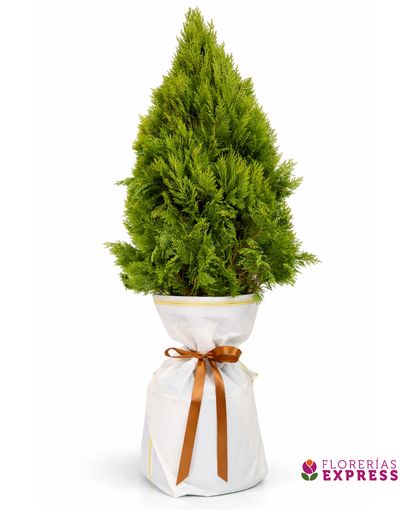 Árbol del Recuerdo