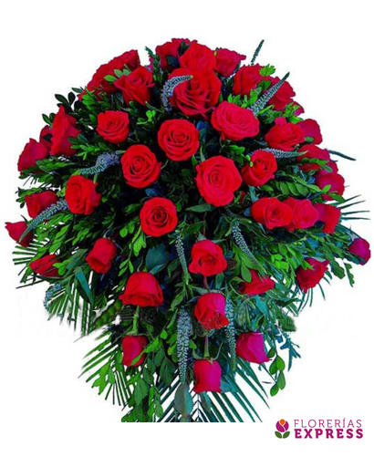 Manto Grande 3 - 360°