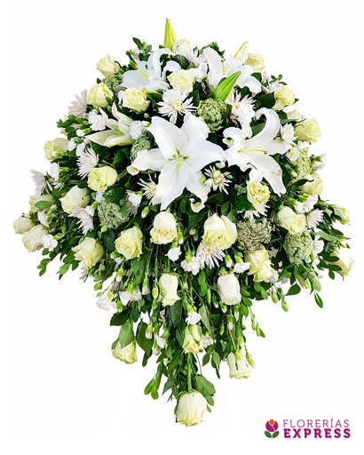 Manto Grande 1 - 360°