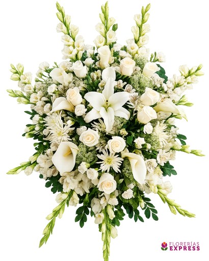 Lágrima de Piso 1 - Blanca