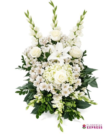 Lágrima de Piso Eco