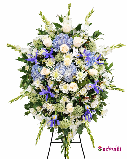 Lágrima con Parante 3 - Alt. 1.60 mt.