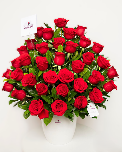 E3 - Bowl de 36 Rosas - 1 Cara