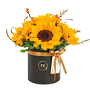 Box de Girasoles - Full