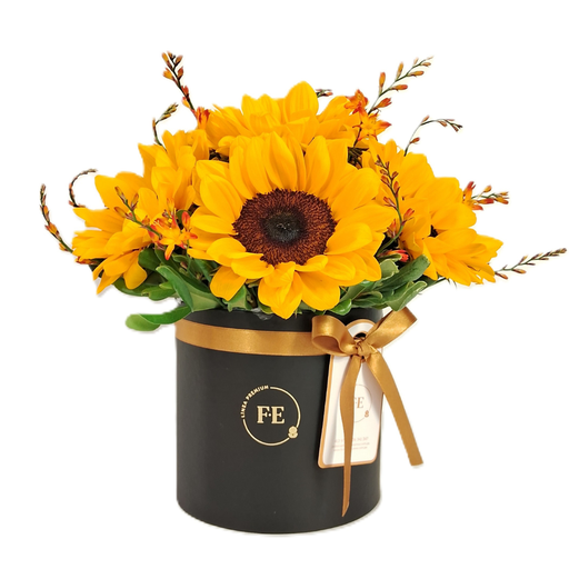 Box de Girasoles
